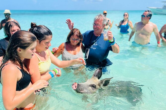 Perfect Day Swimming Pigs, Turtles, Reef Snorkel & Lunch - What You Actually Get With Your Snorkel Setup