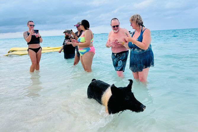 Perfect Day Swimming Pigs, Turtles, Reef Snorkel & Lunch - What to Bring (So the Day Feels Effortless)
