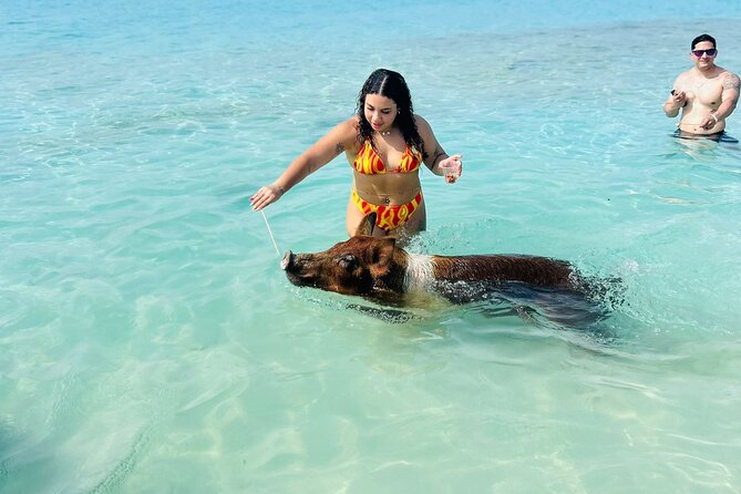 Perfect Day Swimming Pigs, Turtles, Reef Snorkel & Lunch - Lunch and Drinks: Why This Is More Than a Tour