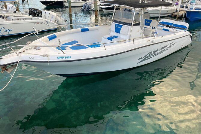 Pigs Beach, Green Turtle Cay, Rose Island Private Tour - How This 3.5 Hour Private Charter Fits Your Nassau Plans