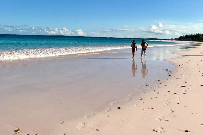 Pink Sand Beach and Swimming Pigs Adventure from Nassau - Meeks Patch Island: The Swimming Pigs Part