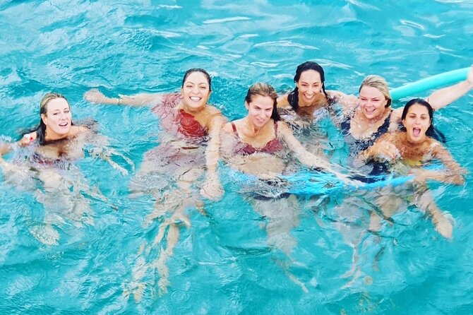 Powerboat and Snorkel Experience with Swimming Pigs and Turtles - Green Cay Turtle Sanctuary: Watching Turtles Without the Rush