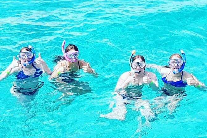 Powerboat and Snorkel Experience with Swimming Pigs and Turtles - Price and Value at $145 Per Person