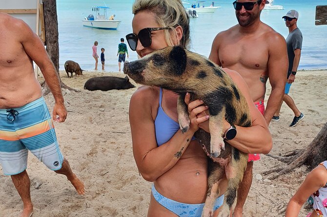 Powerboat and Snorkel Experience with Swimming Pigs and Turtles - Group Size and Your Experience With the Crew
