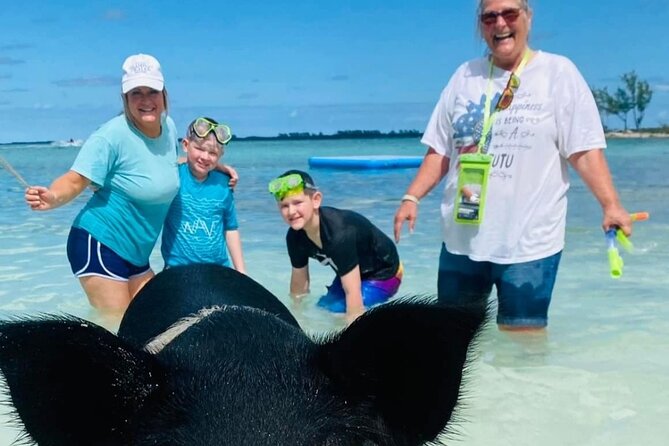 Powerboat and Snorkel Experience with Swimming Pigs and Turtles - Where Rose Island Snorkeling Fits In (And What to Expect)