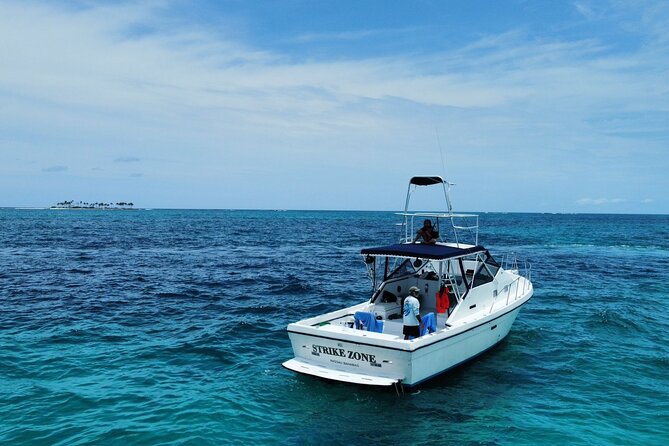 Private 38' Defender Sportfishing/Swim with Pigs in Nassau - Key highlights before you book