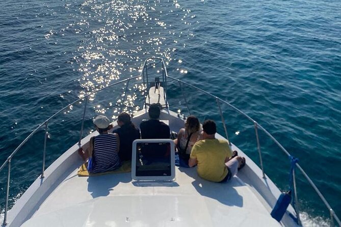 Private 38' Defender Sportfishing/Swim with Pigs in Nassau - First Stop at Rose Island: Snorkel the Big Reef, See Colorful Fish