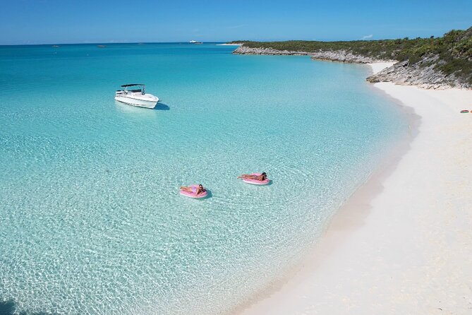 Private 4-Hour Rose Island charter Snorkeling Turtles & Beaching - Green Cay turtles: the best chance for wild close-up, when conditions are right
