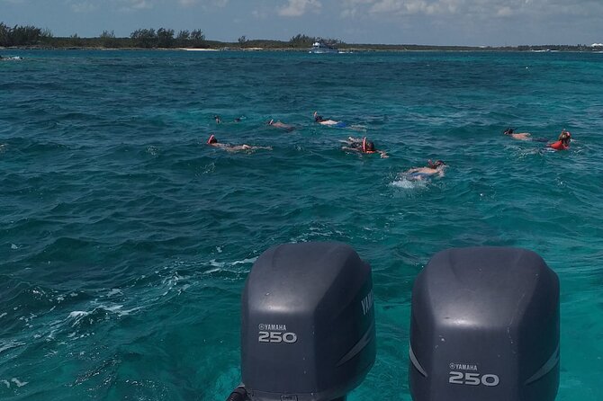 Private 4 hour Rose Island tour snorkeling fishing - Getting to the boat at Bayshore Marina and how the timing works
