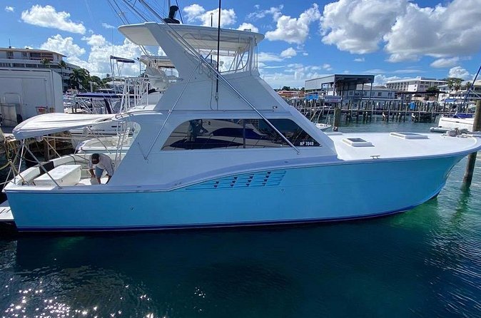 Private 45 Hatteras Sportfishing in Nassau - Fish You Can Target in Nassau, and How to Think About Success