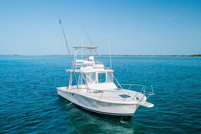 Private Bahamas Half-Day Fishing Tour from New Providence - Who should book this charter