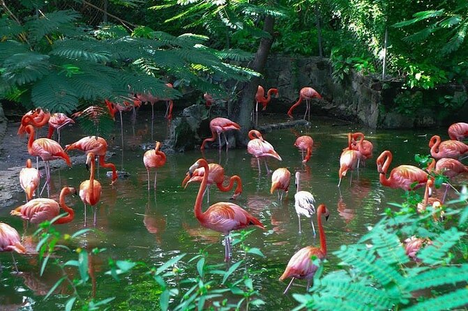 Private Beach Day/Guided TourThrough New Providence Island - Key Highlights You’ll Notice Fast