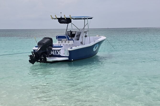 Private Boat Tours & Fishing Charters in Nassau, Bahamas - Reef area for fish spotting: calm sightseeing with a wildlife angle