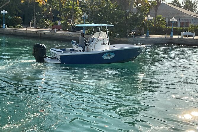 Private Boat Tours & Fishing Charters in Nassau, Bahamas - Who this Nassau boat charter is best for
