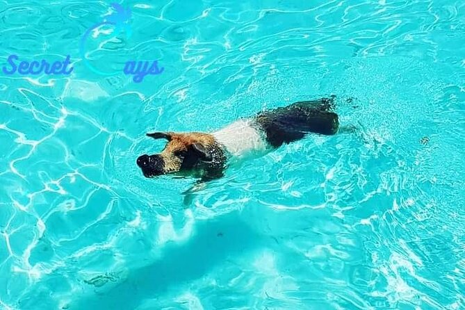 Private Charter for snorkeling, swimming pigs, turtles & fishing.... - Who This Charter Fits Best (And Who Might Want a Different Option)