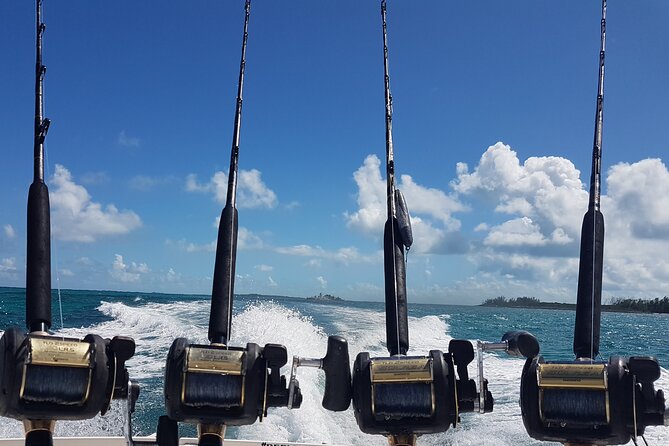 Private Charter for snorkeling, swimming pigs, turtles & fishing.... - Smart Things to Confirm Before You Hand Over the Money