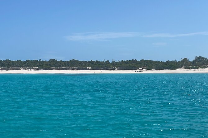 Private Eleuthera Island: Swim With Pigs, Turtles & Stingrays - Spanish Wells: Turtle Time and Snorkel Gear in Action