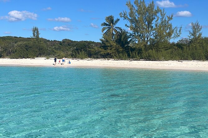 Private Eleuthera Island: Swim With Pigs, Turtles & Stingrays - Price and Group Value: What $8,500 Lets You Do