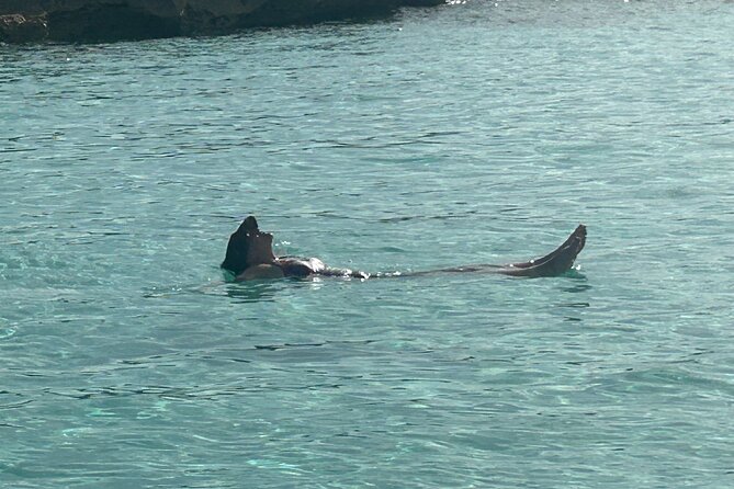 Private Full Day Cruise Tour in Rose Island with Snorkeling - What You’re Really Buying on a Rose Island Snorkeling Cruise