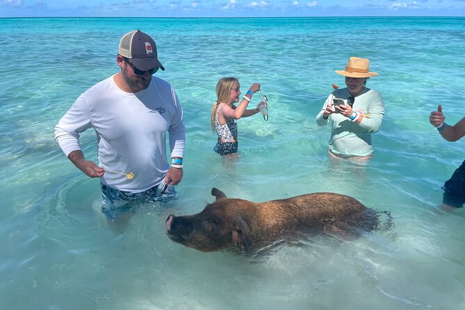 Private Full Day Cruise Tour in Rose Island with Snorkeling - How Much Time Do You Get in the Water?