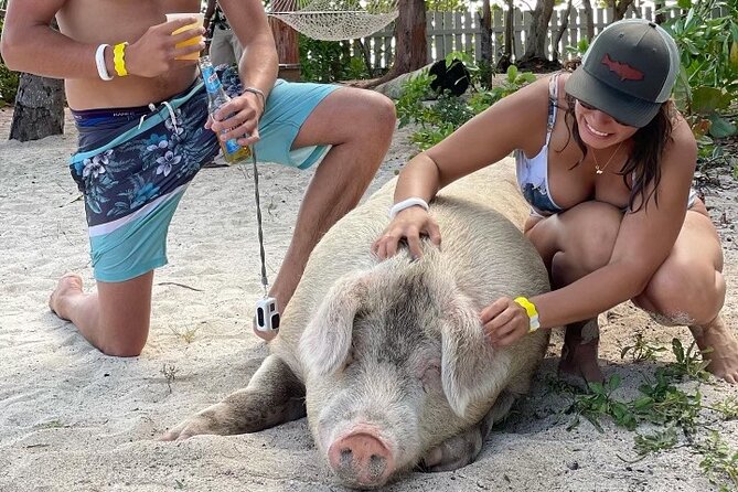 Private GroupTour Pigs/Turtles/Snorkeling/Lunch/Pickup/Dropoff - Key highlights