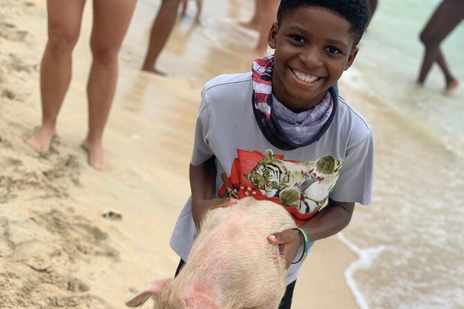 Private GroupTour Pigs/Turtles/Snorkeling/Lunch/Pickup/Dropoff - Private boat format, pickup timing, and what $2,499 per group really means
