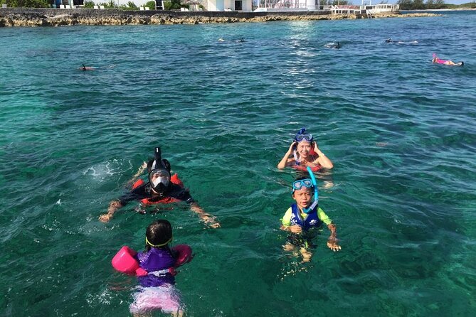 Private Rose Island, Swimming Pigs, Snorkeling and Turtles - Private Nassau boat value: where the money actually goes