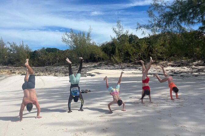 Private Rose Island, Swimming Pigs, Snorkeling and Turtles - Snorkeling gear, snacks, drinks, and the on-board comfort
