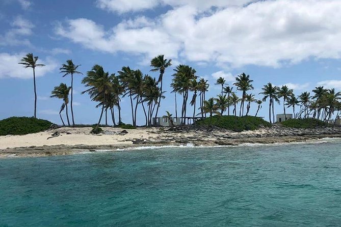 Private Rose Island, Swimming Pigs, Snorkeling and Turtles - Getting to the dock: cruise transfers and what you might pay