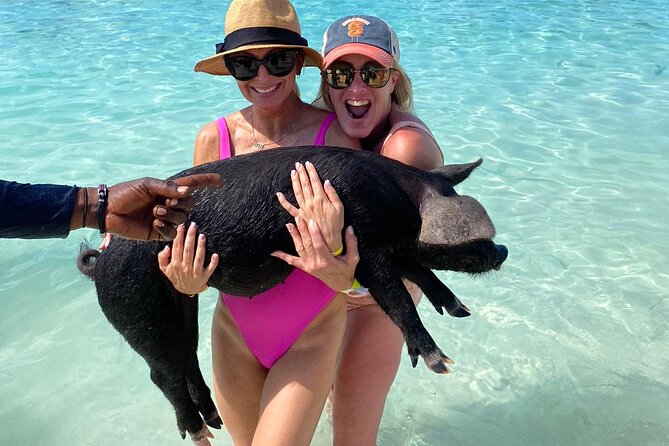 Private Rose Island, Swimming Pigs, Snorkeling and Turtles - Your captain and the style of the day
