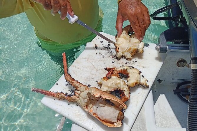 Private Snorkeling And Fishing Activity - What the $850 Price Means for Real Value