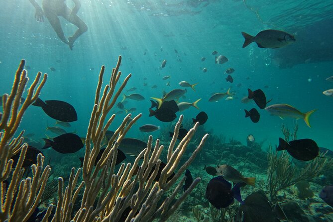 Private Snorkeling or Fishing Charter in Nassau - 38ft Free Time - The Boat, the Water, and the Stuff That Makes Days Easier