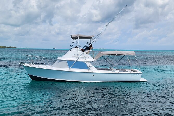 Private Snorkeling or Fishing from Nassau - 31ft Sitting Pretty - Quick hits before you book