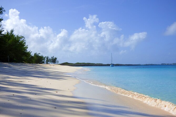 Private Snorkeling or Fishing from Nassau - 31ft Sitting Pretty - Snorkeling when you want it: reefs, sea turtles, and time that actually feels restful