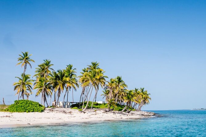 Private Snorkeling or Fishing from Nassau - 31ft Sitting Pretty - Where you meet and how to plan your timing