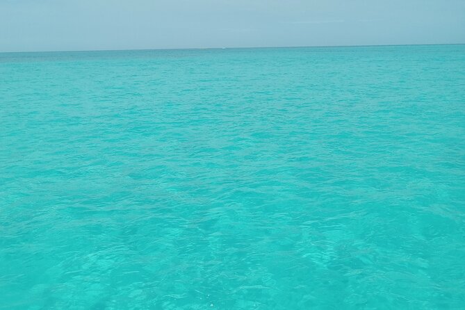 Private speed boat beach and bar hopping visiting Rose island - Key highlights you should know