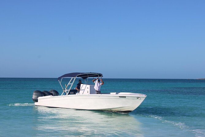 Private speed boat beach and bar hopping visiting Rose island - Snorkeling and Surprise Wildlife: What the Best Review Mentions