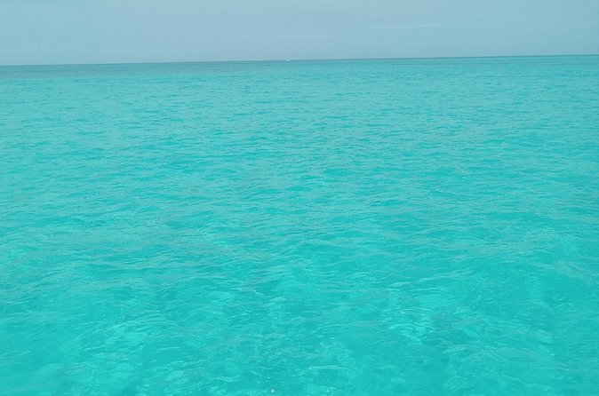 Private speed boat beach and bar hopping visiting Rose island - Private Charter Value: Why $850 Can Make Sense for Up to 8