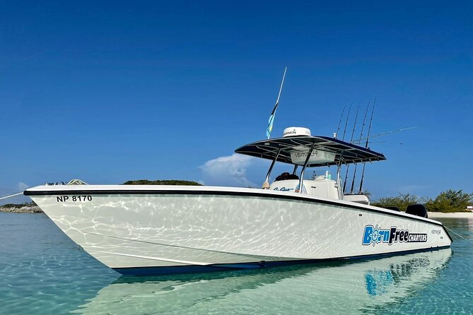 Private Speed Boat for Snorkeling or Fishing in Nassau - 34ft - Key highlights worth knowing before you go