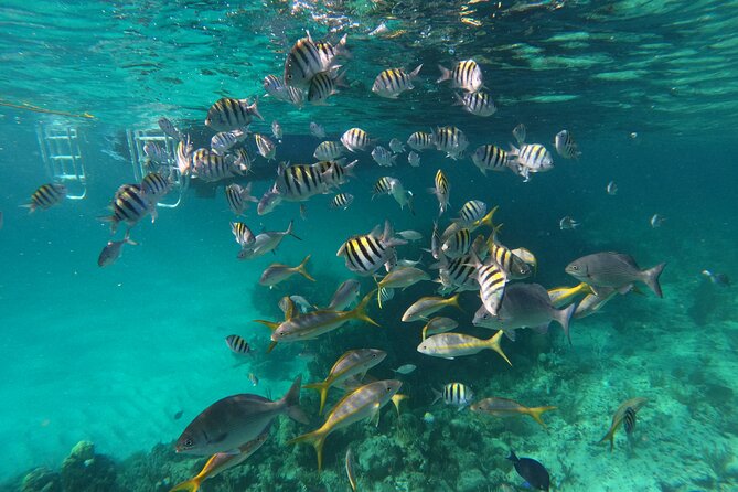 Private Speed Boat for Snorkeling or Fishing in Nassau - 34ft - Why Nassau feels different from a 34ft center console