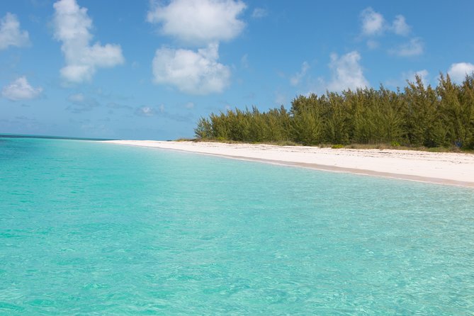 Private Speed Boat for Snorkeling or Fishing in Nassau - 34ft - The flexible half-day vs full-day choice (and why it matters)