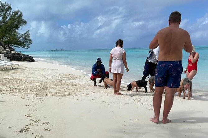 Private Swim With Pigs and Snorkeling in Paradise Tour - Stop on Paradise Island: pigs, reefs, and getting close to turtles