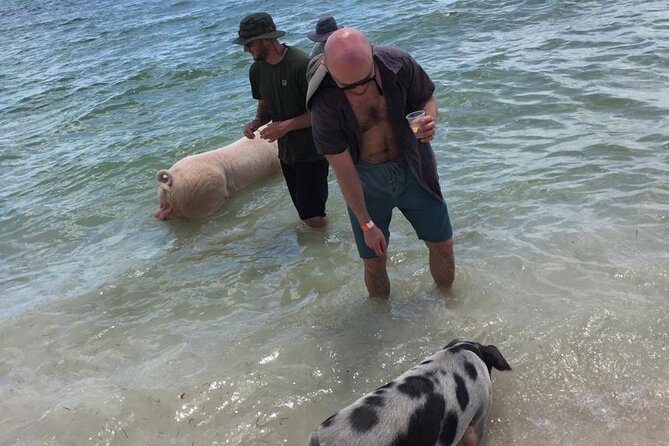 Private Swim With Pigs and Snorkeling in Paradise Tour - Pace and physical fitness: the real-world considerations