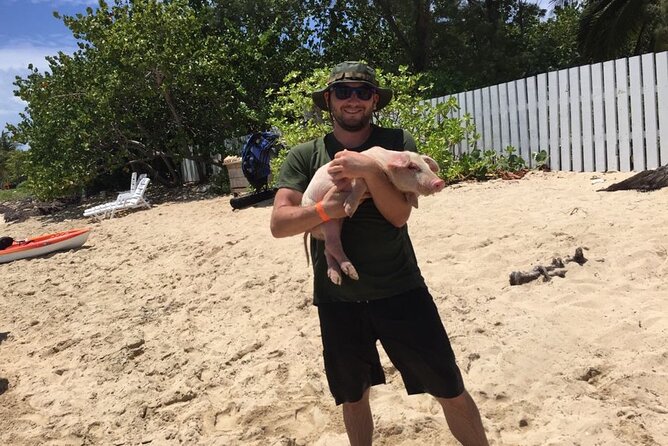 Private Swim With Pigs and Snorkeling in Paradise Tour - Family-friendly in practice, not just on paper