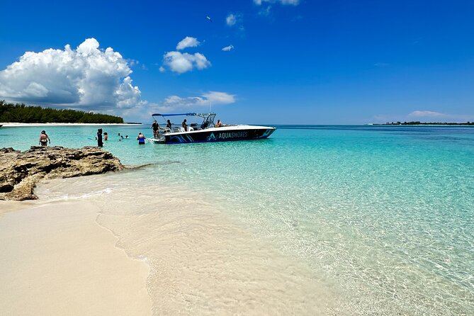 Private Tour 45ft Powerboat to Nearby Islands - Green Turtle Cay Snorkeling: Coral Reefs, Fish, and Turtle Territory