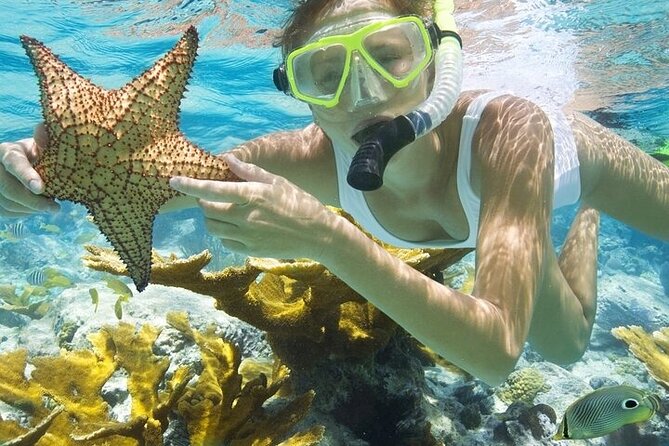 Rose Island Adventure: Snorkel, Sea Turtles, and Private Beach - The Nassau to Rose Island boat ride: fast, fun, and worth planning for