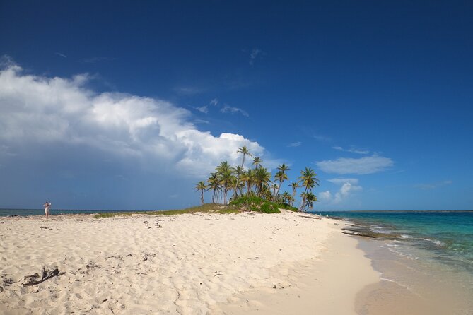 Rose Island Adventure: Turtle, Swim and Snorkel - Key things to know before you go