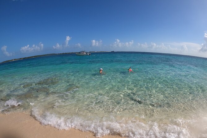 Rose Island Adventure: Turtle, Swim and Snorkel - Quick booking decision: should you sign up for Rose Island Adventure?