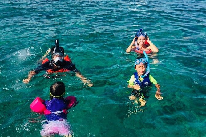 Rose Island Half-Day Snorkeling Cruise - The Rose Island experience: beach time plus reef snorkeling for turtles