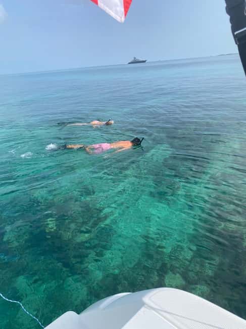Rose Island: Pig Beach, Snorkeling, Sea Turtles, Beach - From Nassau’s Montague Dock to Rose Island, the Ride Sets the Tone
